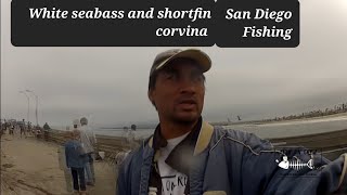 preview picture of video 'San Diego Fishing 2013: The Bait Master at Ocean Beach pier and Sunset Cliffs.'