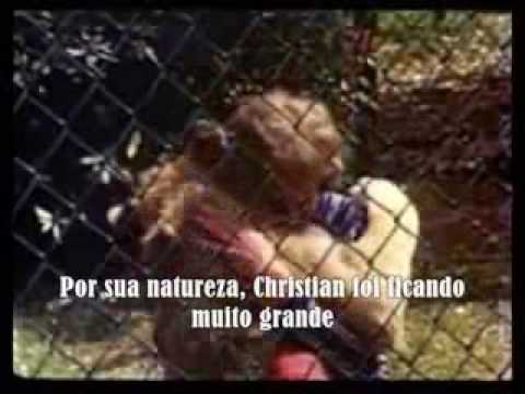 Teu Grande Rei video