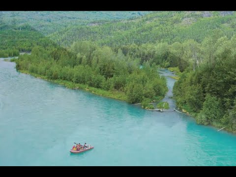 Salmon Catcher App video thumbnail