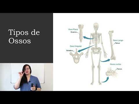 AUXILIAR VETERINÁRIO
