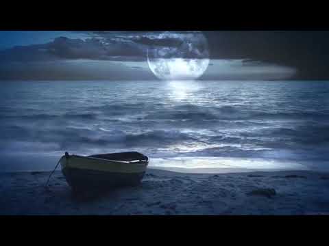 Relaxar Som do Mar e Sons da Floresta Dormir e Meditar Natureza Relaxante