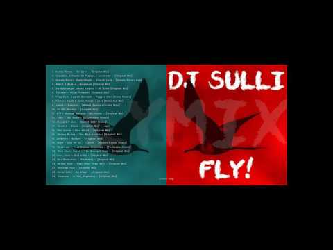 DJ SULLI - FLY!  - DJ MIX