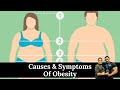Causes & Symptoms Of Obesity