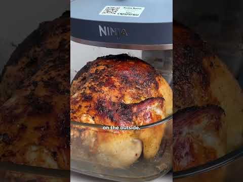 Does Ninja’s NEW Air Fryer ACTUALLY Work Well?