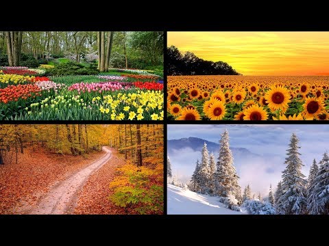 Cztery pory roku - Vivaldi (wersja 10h)