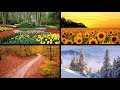 Four Seasons - Vivaldi (10h version) Four Seasons - Vivaldi (10h version)