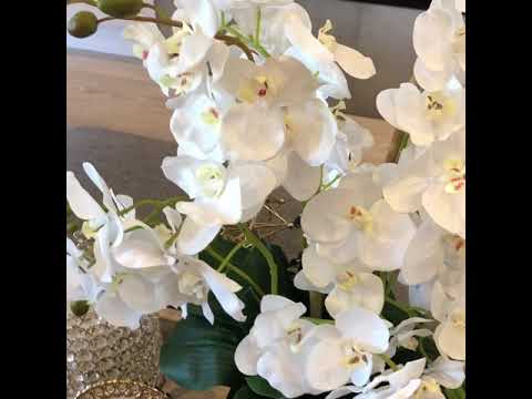 , title : 'White real touch orchids'