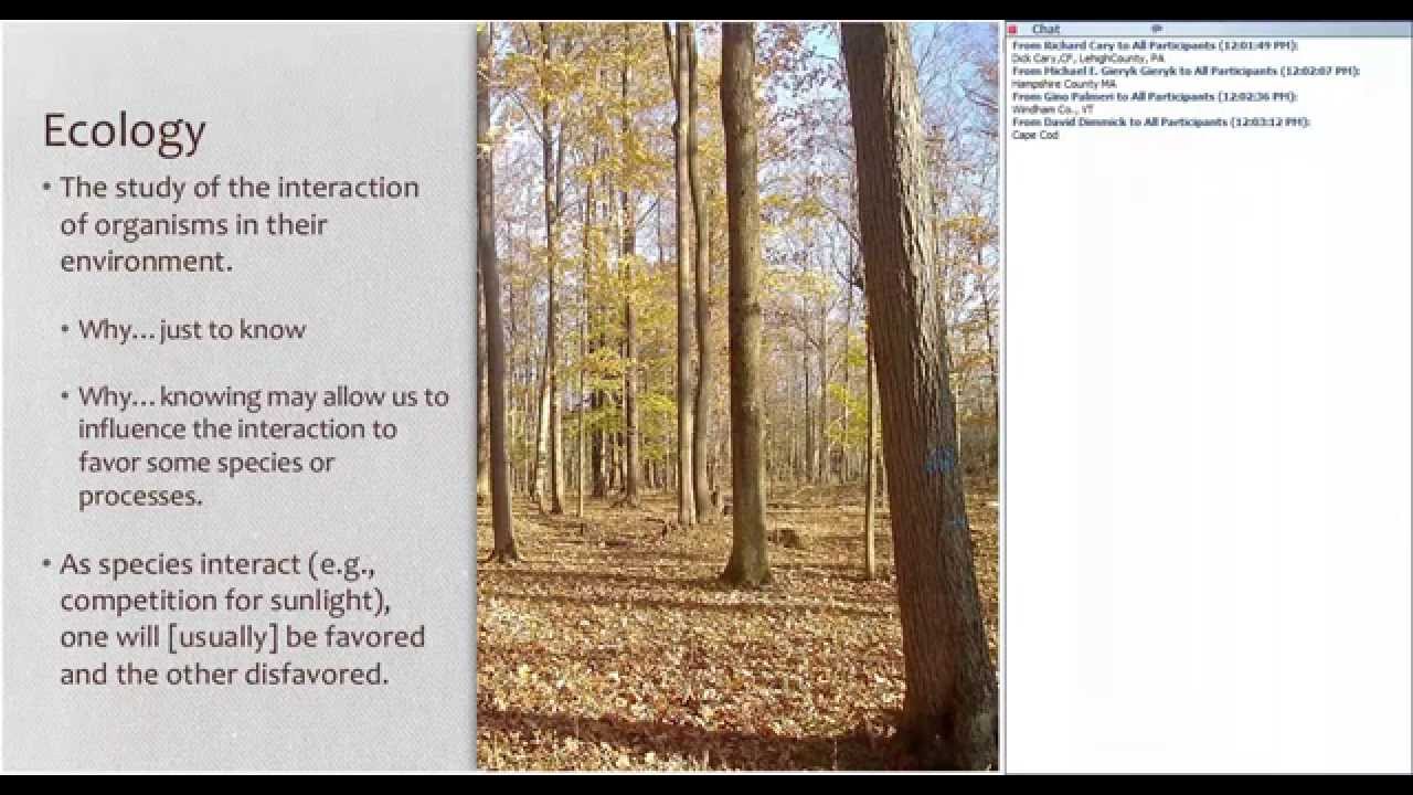 An Introduction to Northeastern Forest Ecology