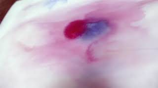 Zusammenschnitt Kunstfilme | 7. - 10. JG