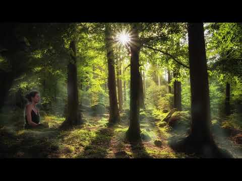 Gaia | Meditative song 💚