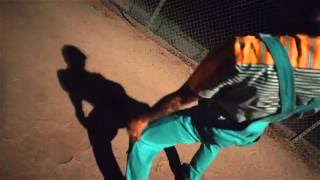 Dee | The Rej3ctz Ft. Chris Brown - Let Me Love You