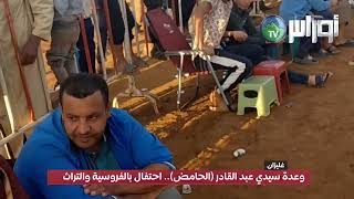 🐎 #غليزان | وعدة سيدي عبد القادر (الحامض).. احتفال بالفروسية والتراث