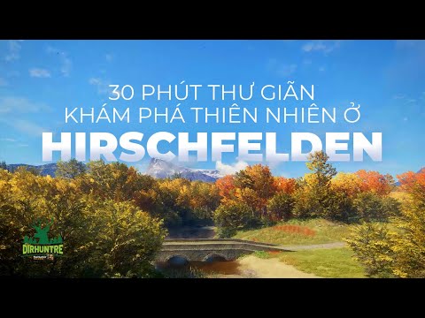 KHÁM PHÁ MUÔNG THÚ HIRSCHFELDEN CÙNG ÂM NHẠC TRÀN NĂNG LƯỢNG CHO NGÀY MỚI
