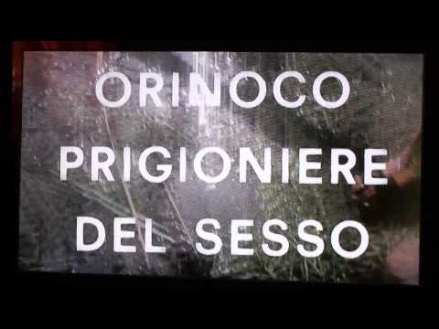 Hotel Paradise (1980) Title scene