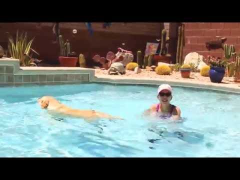 FIT TIP MINUTE: Doggie Paddle