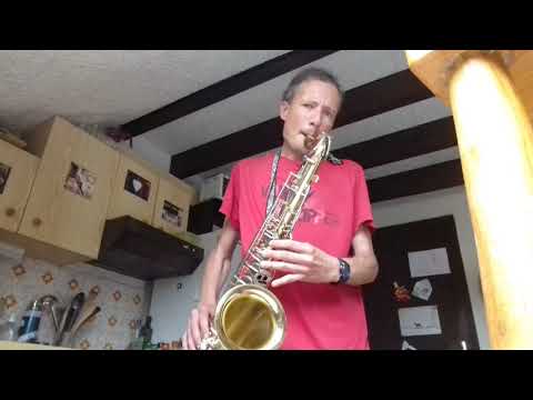 Saxo variante Panthère rose