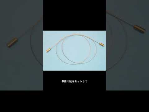 FloydRoseのギター