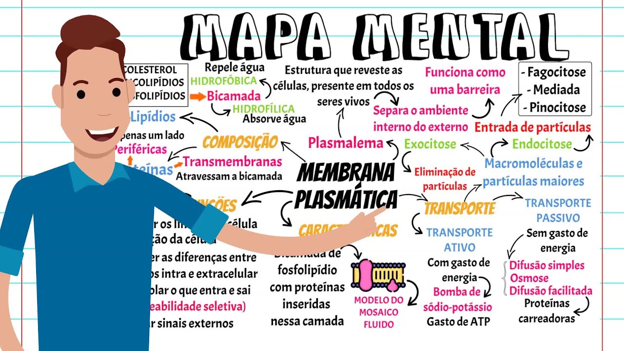 MAPA MENTAL MEMBRANA PLASMÁTICA#ciência #mapamental