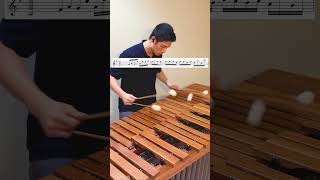 Download lagu Playing God by Polyphia on marimba #percussion #marimba #playinggod #polyphia mp3 Download lagu Playing God by Polyphia on marimba #percussion #marimba #playinggod #polyphia mp3