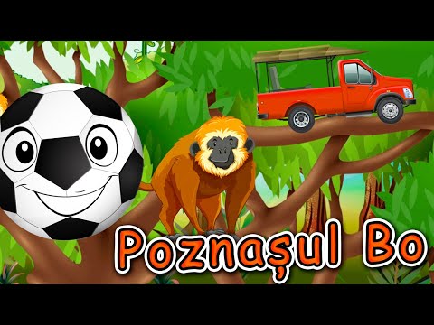 Calatoria Poznasului Bo - Animalele din Africa si Mijloacele de Transport - Copilasi Dragalasi