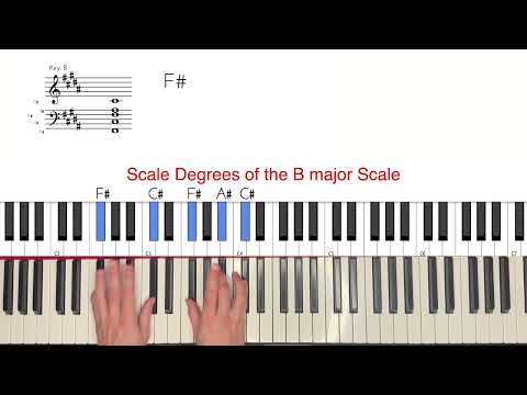 Emperor XIII in Shades Cameron Winter Piano Tutorial