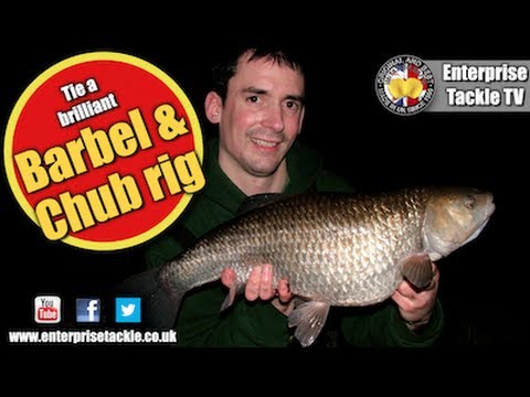 How to tie the best big barbel and chub rig - it's devastating!