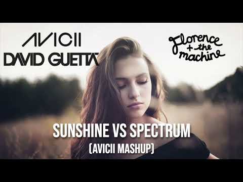 Avicii & David Guetta - Sunshine vs Florence + The Machine - Spectrum (Avicii Mashup)