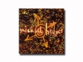 Michael Hedges / When I was 4