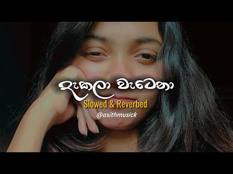 Dakala | දැකලා - ( Slowed + Reverb )