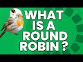 What Is a Round Robin in Sports Betting? How to Bet a Round Robin