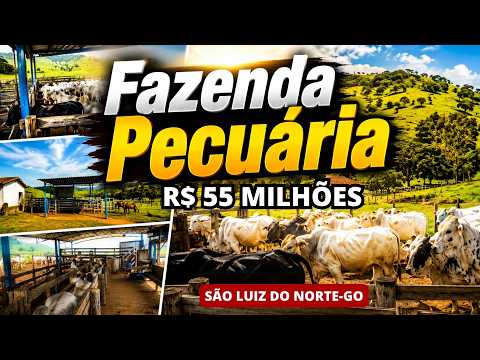 Fazenda Pecuária com 2.033 ha para Cria e Engorda, 50 Divisões de Pasto, Rio e Nascentes em Goiás