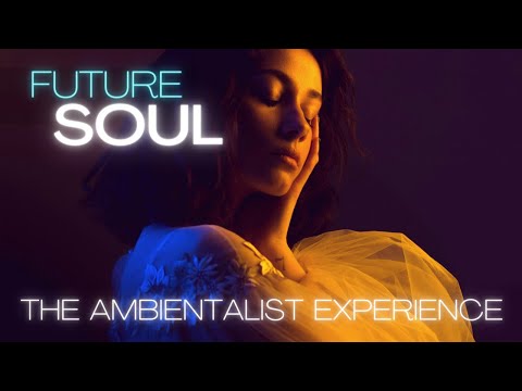 The Ambientalist Experience ●  Chillstep/Future Garage Mix.