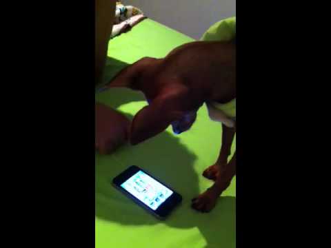 Video cover