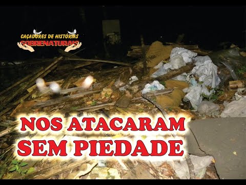 ABANDONAMOS O LOCAL - PAULINHO PRECISA DE AJUDA