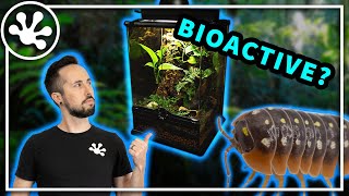 Bioactive Reptile Enclosures explained in 3 MINUTES!