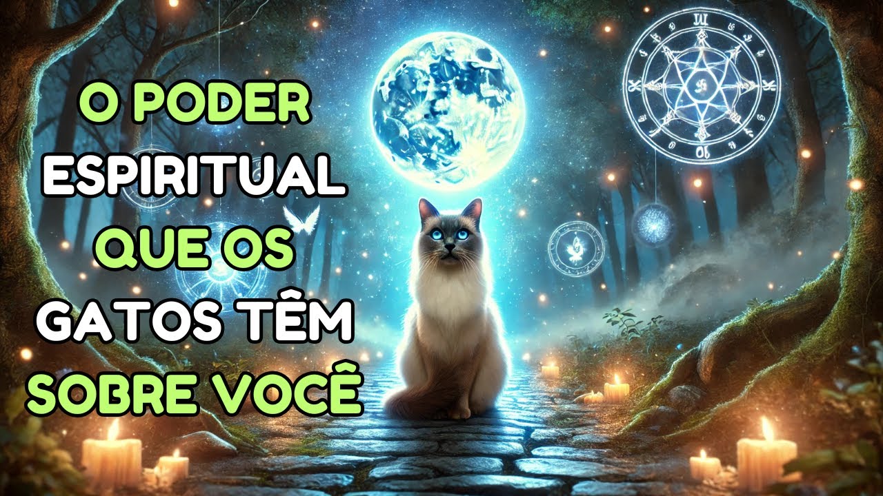 ESCOLHIDOS😺 Descubra A ESPIRITUALIDADE DOS GATOS | Por Que DEUS Te ABENÇOOU Com A Presença Deles? 😇🙏