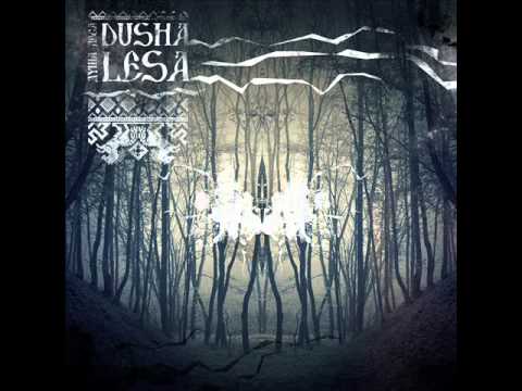 Disia - Skog