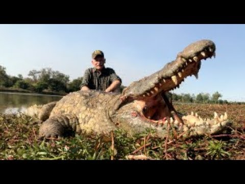 download lagu mp3 mp4 Shangani River, download lagu Shangani River gratis, unduh video klip Shangani River