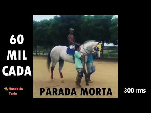 Verdugo Dash x Dicky Brummel grande desafio !🐎💥