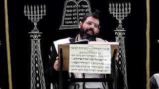 זבחים דף י"ב ע''ב ¤ הרב נתנאל אברז'ל ¤ בית הכנסת "בית מרדכי" (מוסדות תורת דוד) - התמונה מוצגת ישירות מתוך אתר האינטרנט יוטיוב. זכויות היוצרים בתמונה שייכות ליוצרה. קישור קרדיט למקור התוכן נמצא בתוך דף הסרטון