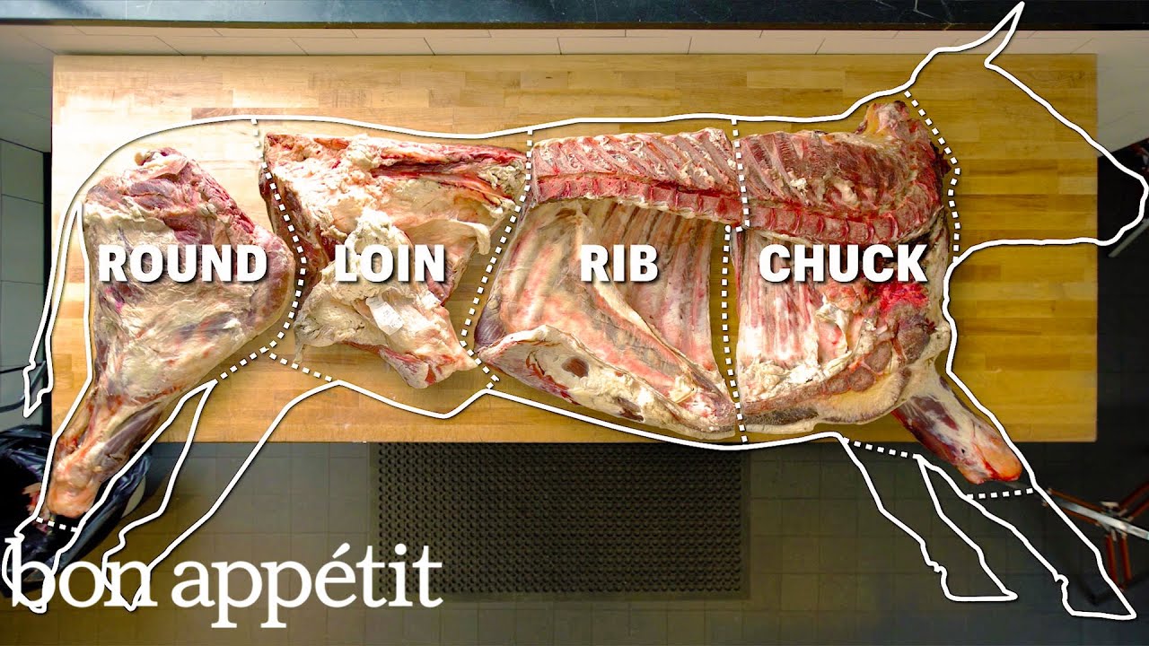 Every Cut of Beef, Straight From Half a Cow