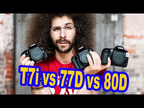 Canon T7i vs Canon 77D vs Canon 80D Which to Buy?