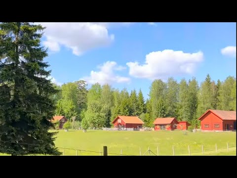 Outing on the Swedish countryside to organic farm & café Ändebols Gård