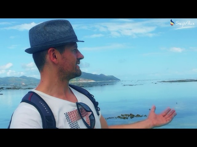 Video - Image - Inselhopping im Dezember