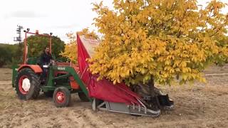 Ceviz Çırpma/Toplama Makinası- WAlnut Harvest i