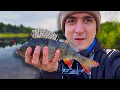 Rzeczka vs Spinning – rematch after a Month!