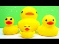 Sizes Small Big Bigger Biggest Fun Creative For Kids Learning Video For Toddlers Children