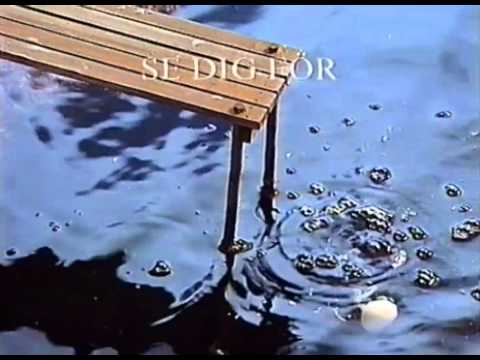 Svenska Livräddningssällskapet, Anslagstavlan: Ägg - Sommar 1