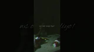 Download lagu UPNORMAL story whatsapp#7 mp3