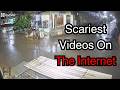The Most Scary And Shocking Videos On The Internet Scary Comp V19